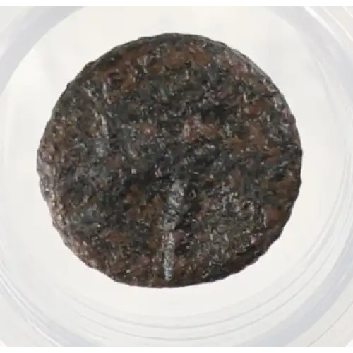 Ancient Greek Coin (2)