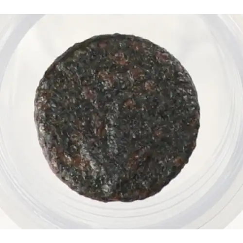 Ancient Greek Coin
