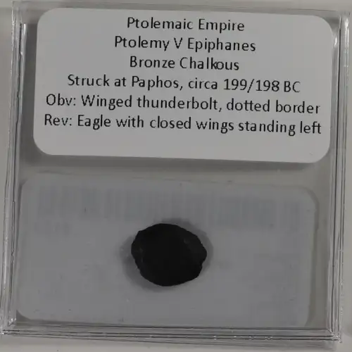 Ancient Greek Coin (4)