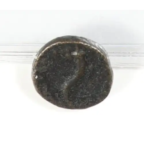 Ancient Greek Coin (2)