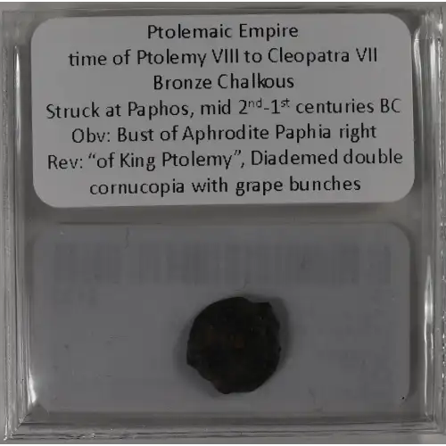 Ancient Greek Coin (3)