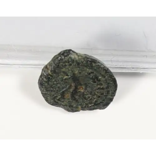 Ancient Greek Coin (2)