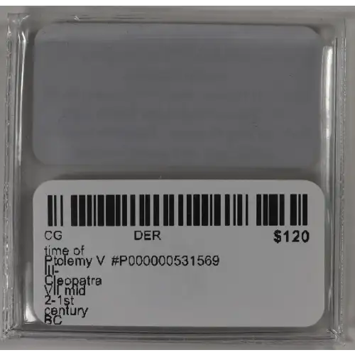 Ancient Greek Coin (4)