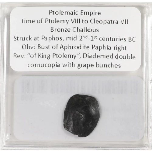 Ancient Greek Coin (3)