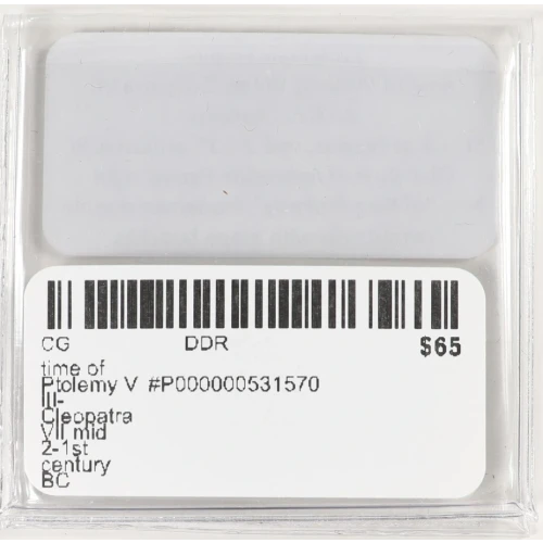 Ancient Greek Coin (4)