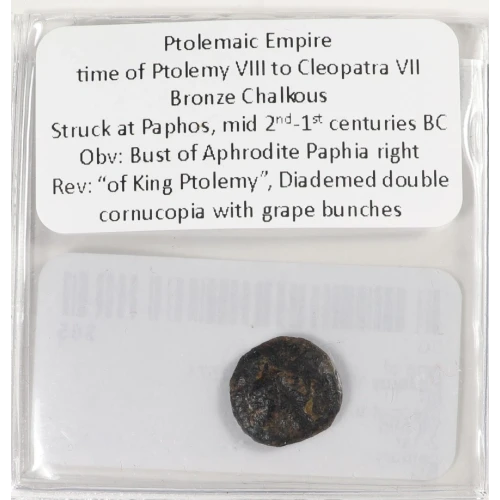 Ancient Greek Coin (3)