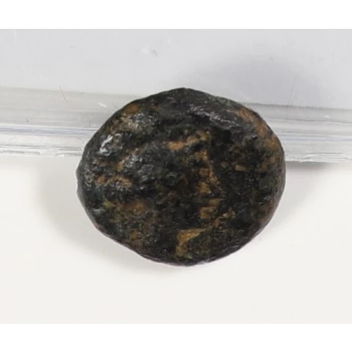 Ancient Greek Coin (2)