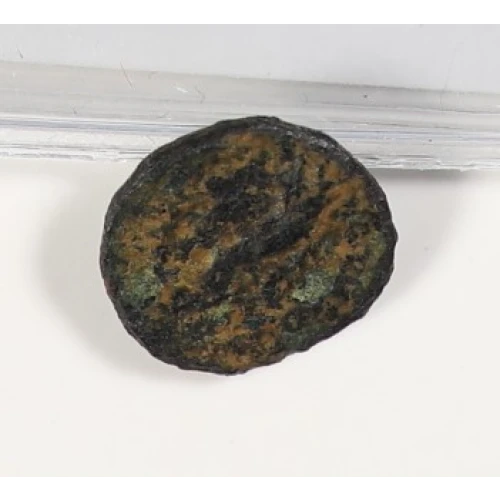 Ancient Greek Coin