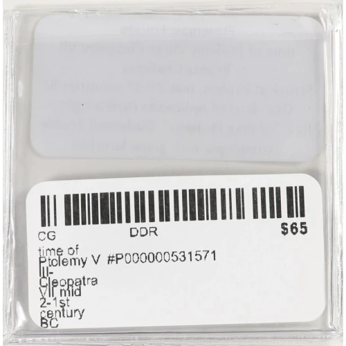 Ancient Greek Coin (4)