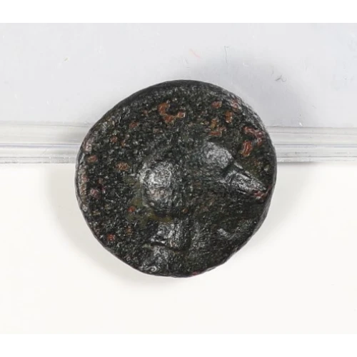 Ancient Greek Coin