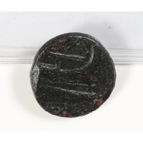 Ancient Greek Coin (2)