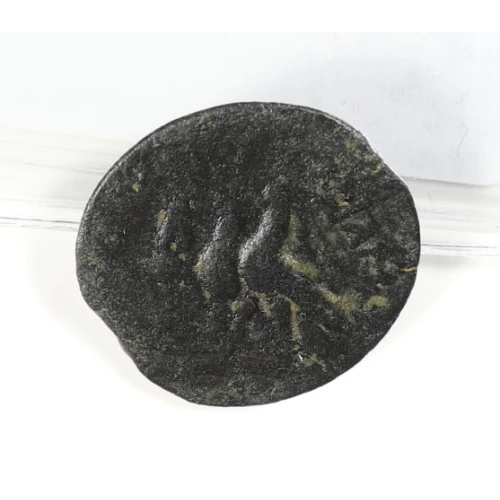 Ancient Greek Coin (3)