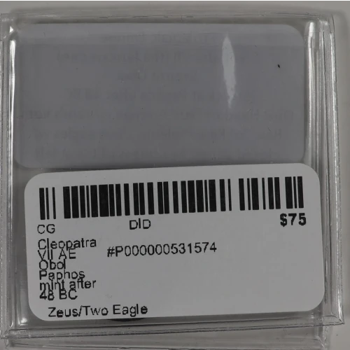 Ancient Greek Coin (4)