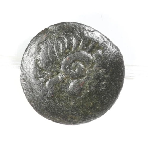 Ancient Greek Coin (2)