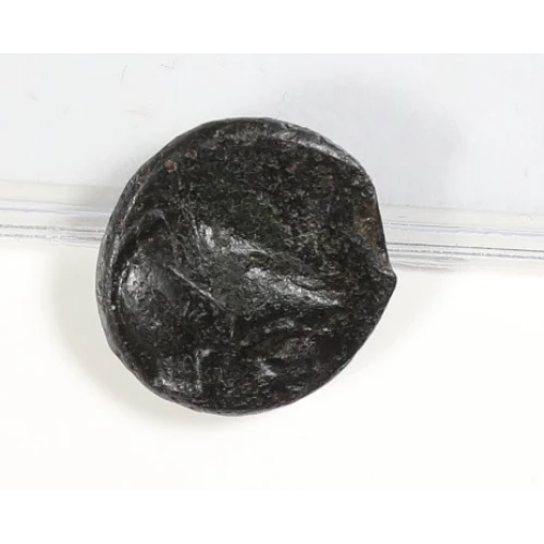 Ancient Greek Coin