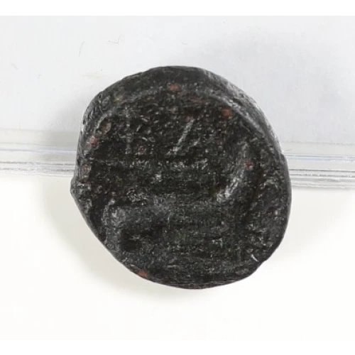 Ancient Greek Coin (4)