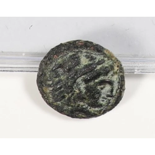 Ancient Greek Coin (2)
