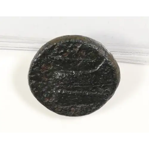 Ancient Greek Coin (3)