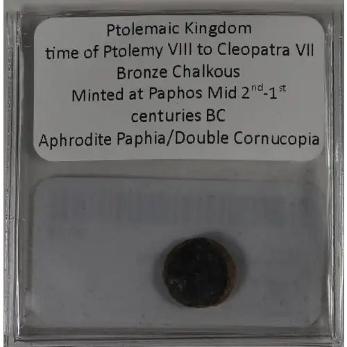 Ancient Greek Coin (3)