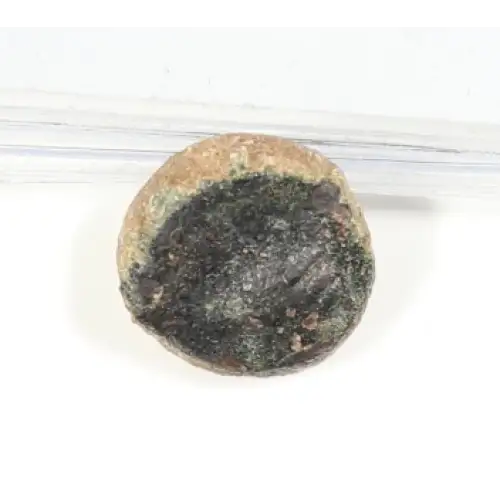 Ancient Greek Coin (2)