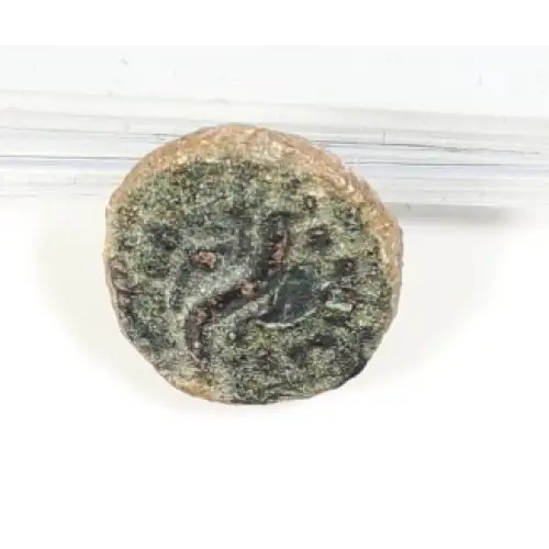 Ancient Greek Coin