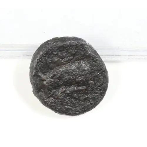 Ancient Greek Coin (4)