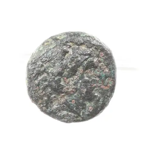 Ancient Greek Coin