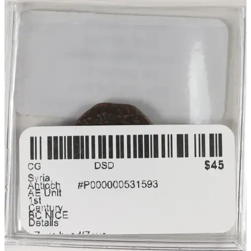 Ancient Greek Coin (3)