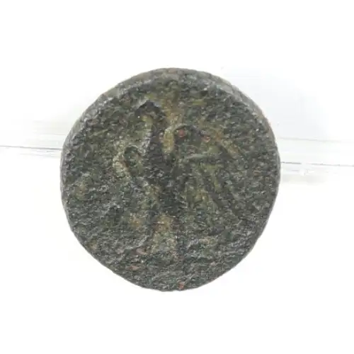 Ancient Greek Coin