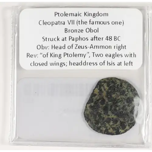 Ancient Greek Coin (4)