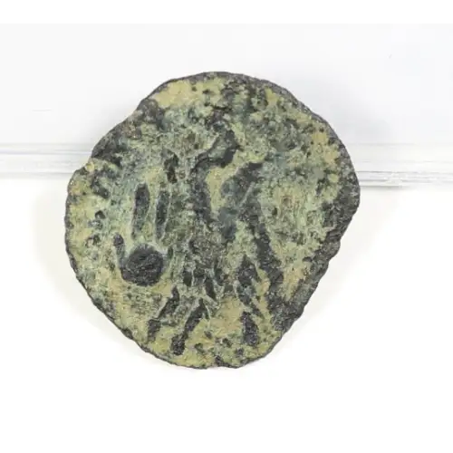 Ancient Greek Coin (2)