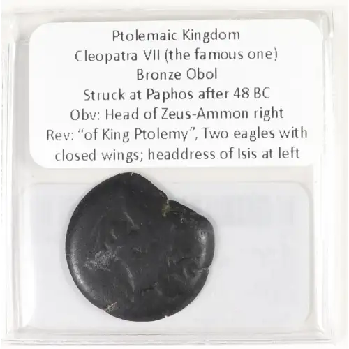 Ancient Greek Coin (3)