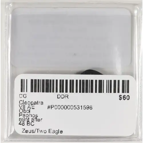 Ancient Greek Coin (4)