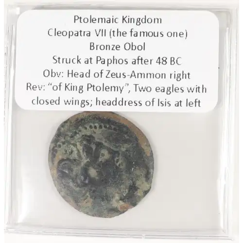 Ancient Greek Coin (4)