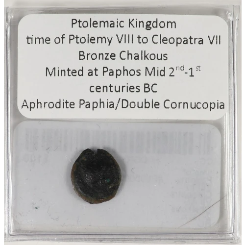 Ancient Greek Coin (3)