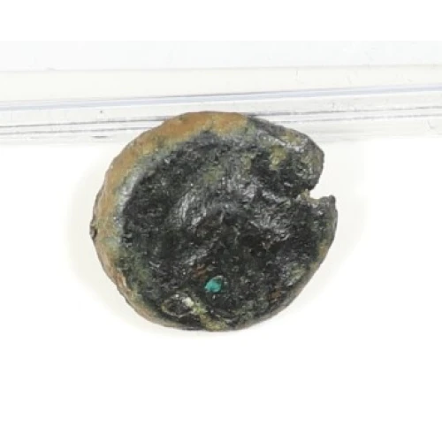 Ancient Greek Coin (2)
