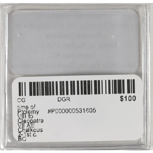 Ancient Greek Coin (4)