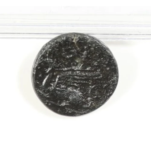 Ancient Greek Coin (2)