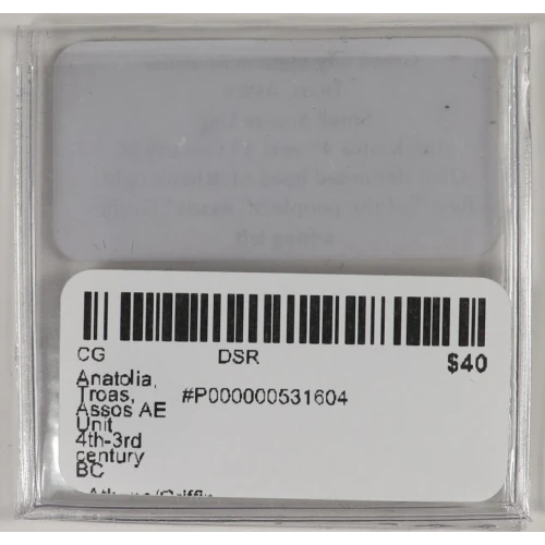 Ancient Greek Coin (4)