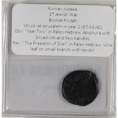 Ancient Greek Coin (2)