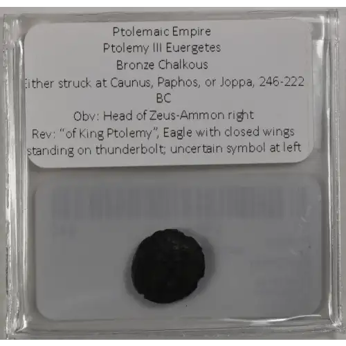 Ancient Greek Coin (3)