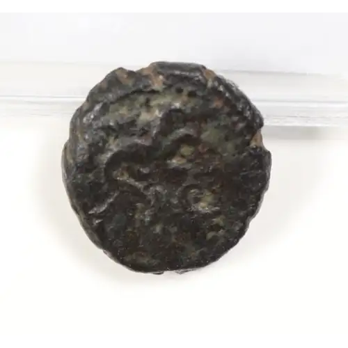 Ancient Greek Coin (2)