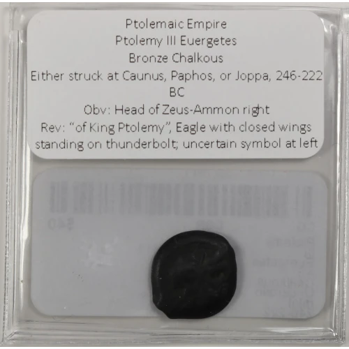 Ancient Greek Coin (3)