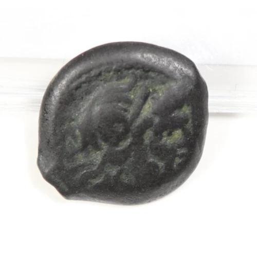 Ancient Greek Coin (2)