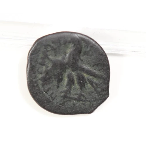Ancient Greek Coin