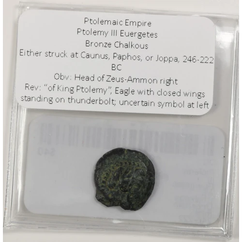 Ancient Greek Coin (3)
