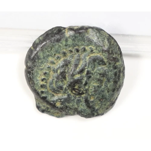 Ancient Greek Coin