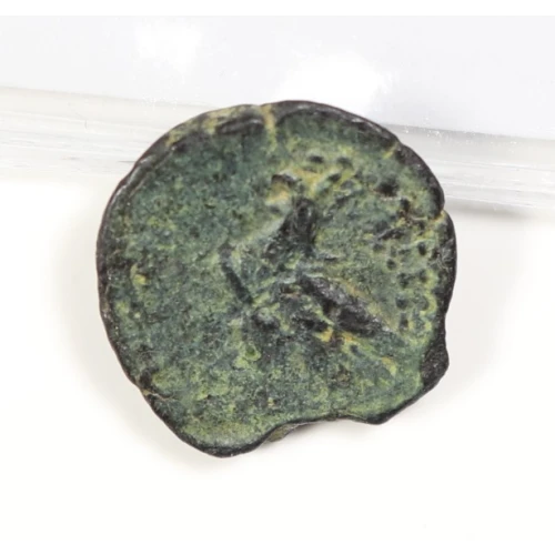 Ancient Greek Coin (2)