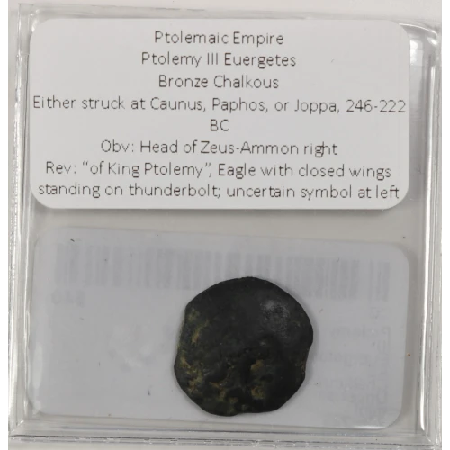 Ancient Greek Coin (3)