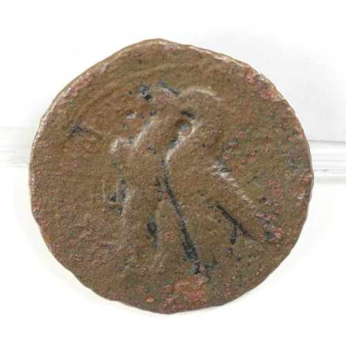 Ancient Greek Coin